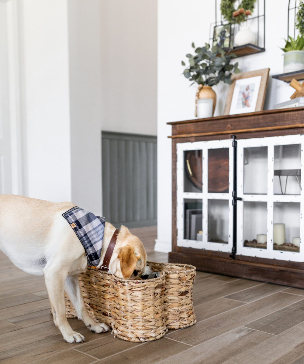 HH-about-carousel-10