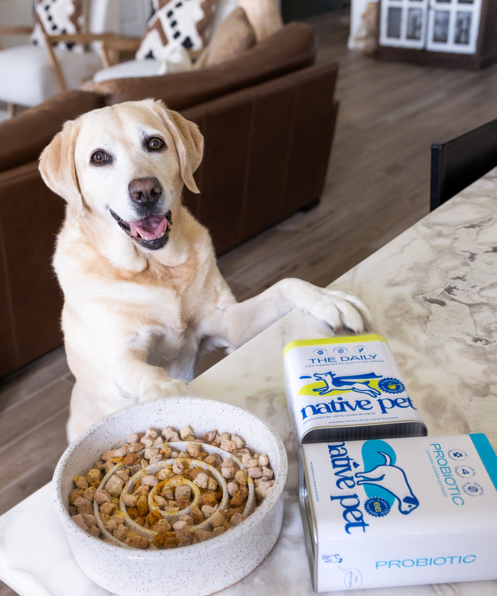 HH-about-carousel-11