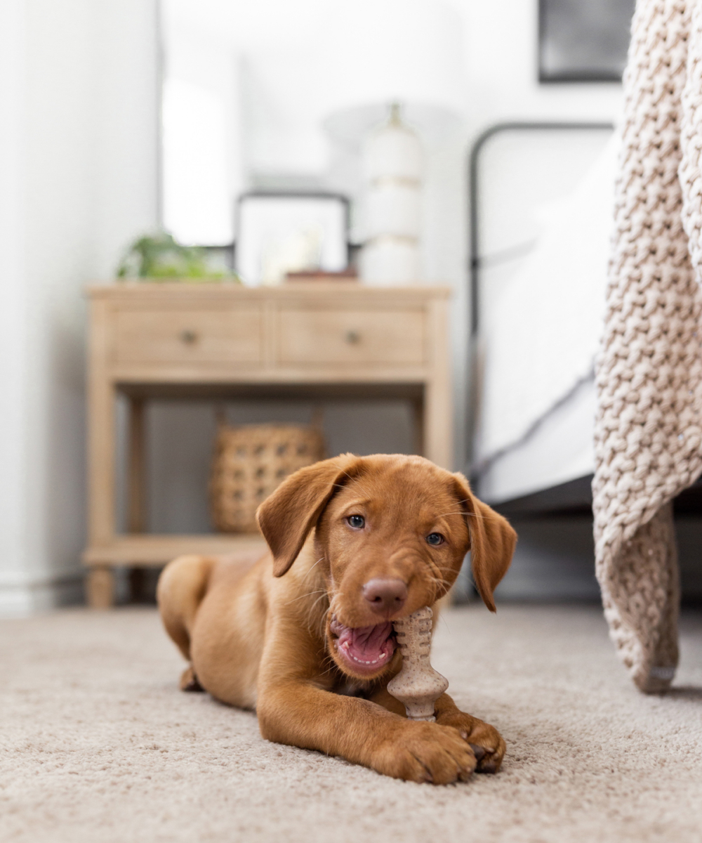 HH-about-carousel-14